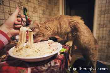 Italian researchers' silver nano-spaghetti promises to help solve power-hungry neural net problems