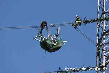 Vogels vliegen niet meer te pletter dankzij vogelkrullen in hoogspanningslijn