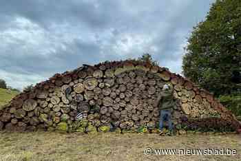 Nieuw kunstwerk verrijst naast het bomenpad
