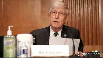 Collins to step down as NIH director