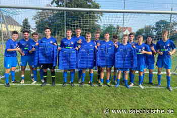 Riesa: Stahl Riesa erhält doppelt Unterstützung - Sächsische.de