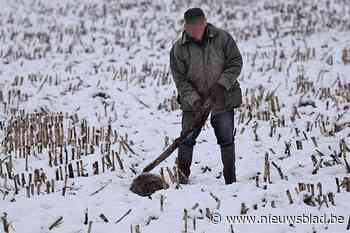 Opmerkelijk: advocaten maken filmpje om verdachte neerknuppelen das vrij te pleiten