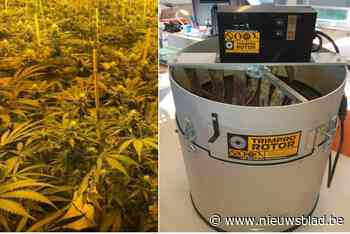 Anderlechtse politie ontdekt op vier maanden tijd drie gigantische plantages goed voor 6.000 cannabisplantjes