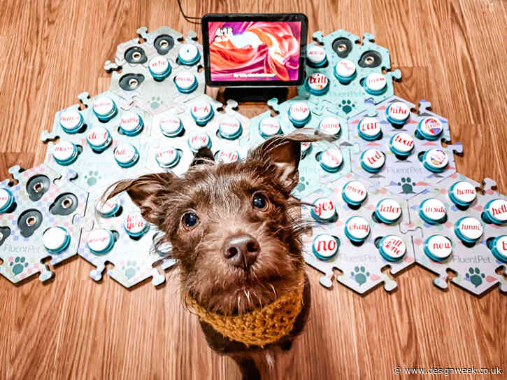 This collaborative design project is helping dogs to talk