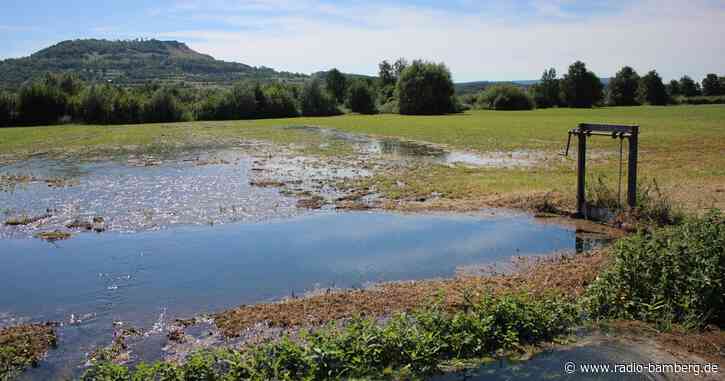 Fränkische Wässerwiesen mit hohem Wert
