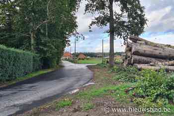 Groen Berlaar: “Sigmaplan uitvoeren kan alleen met natuurcompensatie in ónze gemeente”