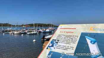 À Six-Fours, ils sauvegardent les pointus d’antan pour un avenir plus riche