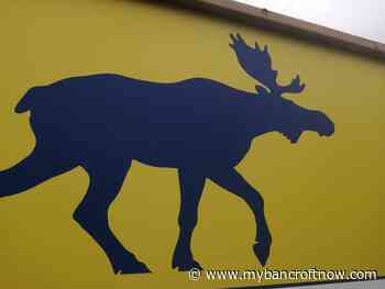 Moose FM raising money for Children’s Foundation