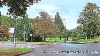 Bebauung in Bad Herrenalb: Schweizer Wiese: Entscheidung nach Bürgerversammlung