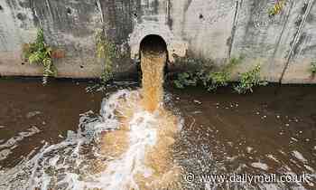 Water industry calls for cleaner bathing rivers, amid fears over raw SEWAGE overflow