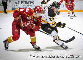 Chilliwack Chief Brett Rylance copes with diabetes diagnosis – Agassiz Harrison Observer - Agassiz-Harrison Observer