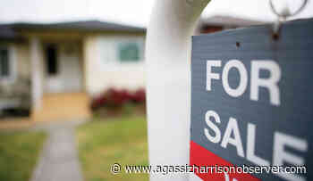 Average price of single-family home in Chilliwack tops $900000 – Agassiz Harrison Observer - Agassiz Harrison Observer