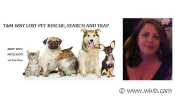 Sullivan: A community returns kindness to the 'dog whisperer'