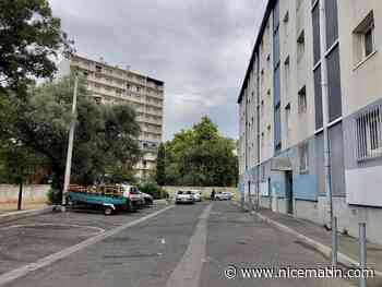 "Vous avez la même voiture que les stups": à Toulon, un dealer propose de la drogue à des policiers