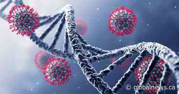 56% dissatisfied with Saskatchewan government’s handling of COVID-19: poll