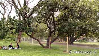 Parque de Agronomía: la Universidad de Buenos Aires enrejó caminos del tercer pulmón verde porteño - Diario Z