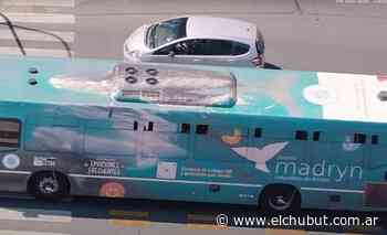 Madryn lanzó una campaña de promoción en Buenos Aires - Diario EL CHUBUT