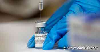 Pfizer coronavirus vaccine: Does vaccine stop COVID? How strong is it? - Deseret News