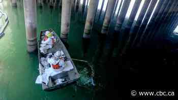 Pipeline in California oil spill split open, dragged along ocean floor, authorities say