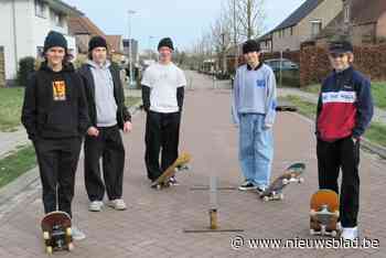 Skaters leren tips en tricks op gratis workshop - Het Nieuwsblad