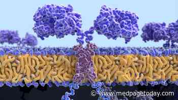 CNS Activity in Acute Leukemia No Barrier to CAR-T Remissions