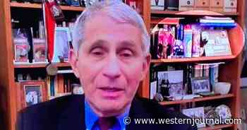 Twitter Notices Something Strange in Fauci's Home: Bizarre Item in Plain Sight
