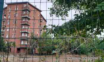 Gallarate: tolto l'amianto, restano i topi - La Prealpina