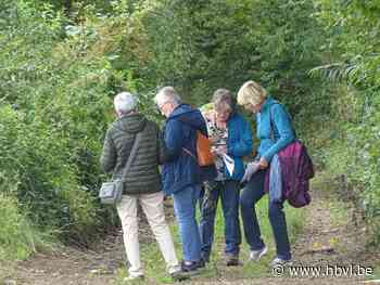 Ferm Paal tekent mooie fotozoektocht uit (Beringen) - Het Belang van Limburg Mobile - Het Belang van Limburg