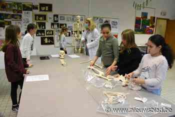 Ontdek het verleden onder je voeten: Archeologiedagen op 8, 9 en 10 oktober