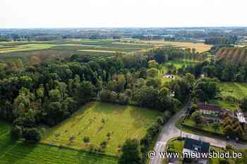 Coalitiepartner CD&V zet druk op Vooruit-ROB in Wellen: “Snel fusiegesprekken opstarten”