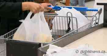 Plastic bag bylaw coming into effect in Prince Albert, Sask.
