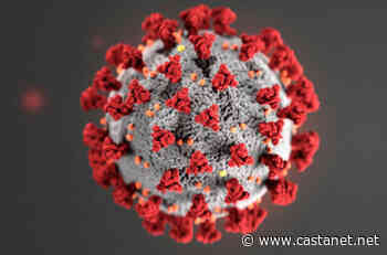 Kamloops COVID-19 outbreaks see no growth Monday, IH says - Kamloops News - Castanet.net