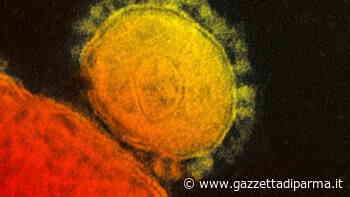Nelle ultime 24 ore 24 nuovi contagi a Parma e un decesso - Gazzetta di Parma