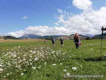 Foligno. Giornata nazionale del Camminare: domenica 10 ottobre al Parco di Colfiorito con Valle Umbra Trekking - Umbria Notizie Web