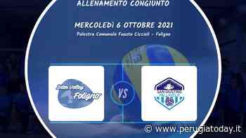 Serie B, per la Intervolley Foligno test con San Giustino - PerugiaToday