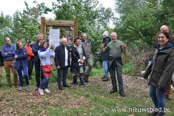 Gezinnen kopen samen een bos en maken er groene ontmoetingsplek van voor hele buurt - Het Nieuwsblad
