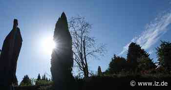 Detmold schwingt sich auf Klimawandel ein | Lokale Nachrichten aus Detmold - Lippische Landes-Zeitung