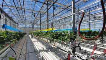 $783K investment in Alberta AgTech venture with Sunterra Greenhouses and Lethbridge College - northeastNOW