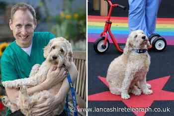 Lancashire therapy dog to be recognised with national award