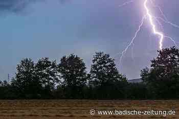 Vor 100 Jahren starben in Bonndorf-Boll vier Kinder durch einen Blitzschlag - Bonndorf - Badische Zeitung