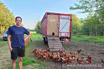 David (25) droomt ervan boer te worden en bouwde mobiele kippenren: “Eitjes zijn duurder, maar mensen willen kwaliteit” - Het Nieuwsblad