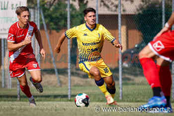 Modena FC - Resto del Carlino - Tesser cerca gli equilibri a centrocampo - Parlandodisport.it - Parlando di Sport