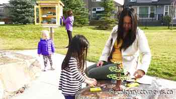 A southeast Calgary community offers games and puzzles in addition to books at its little library | CTV News - CTV News Calgary