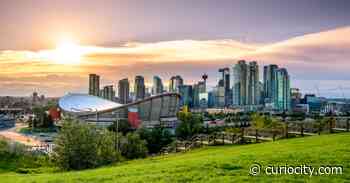 These are the 10 best Calgary neighbourhoods to rent in right now - Curiocity