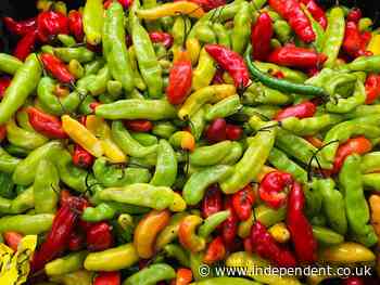 What happens to your body when you eat spicy food? - The Independent