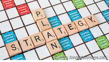 WHO reveals feedback on food safety strategy: one goal is integration - Food Safety News