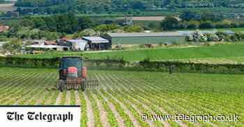 Row over Britain's food supply exposes a 200-year Tory divide - Telegraph.co.uk