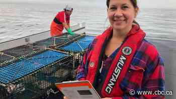 Sipekne'katik First Nation's lobster study aims to assess impact of summer and fall fishing