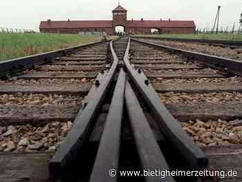 Gedenkstätte: Antisemitische Schmierereien in Auschwitz-Birkenau - Bietigheim-Bissingen - Bietigheimer Zeitung