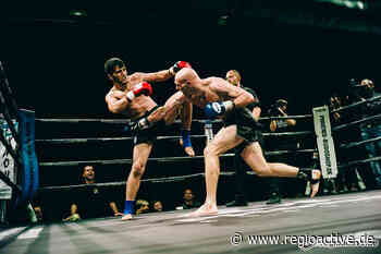 Fight Night 2021: Kampfsport-Event in Mannheim kehrt am 30. Oktober groß zurück - regioactive.de
